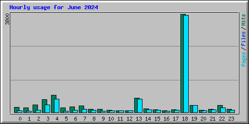 Hourly usage for June 2024