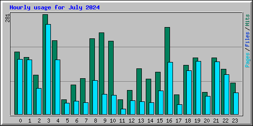 Hourly usage for July 2024