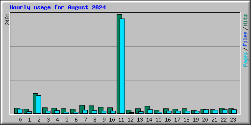 Hourly usage for August 2024